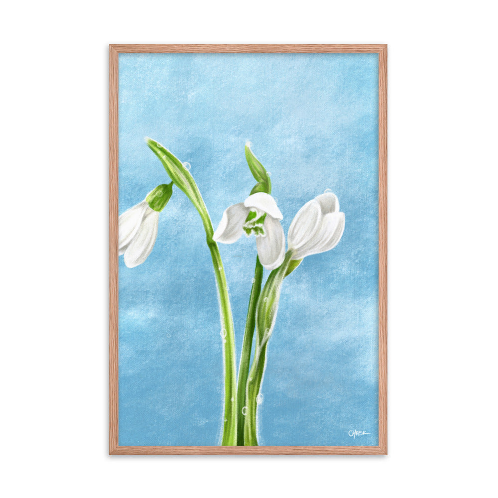 Snowdrop (January) - Birth Flower Framed Print