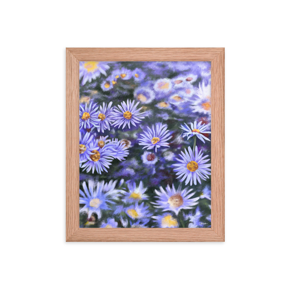 Aster (September) - Birth Flower Framed Print