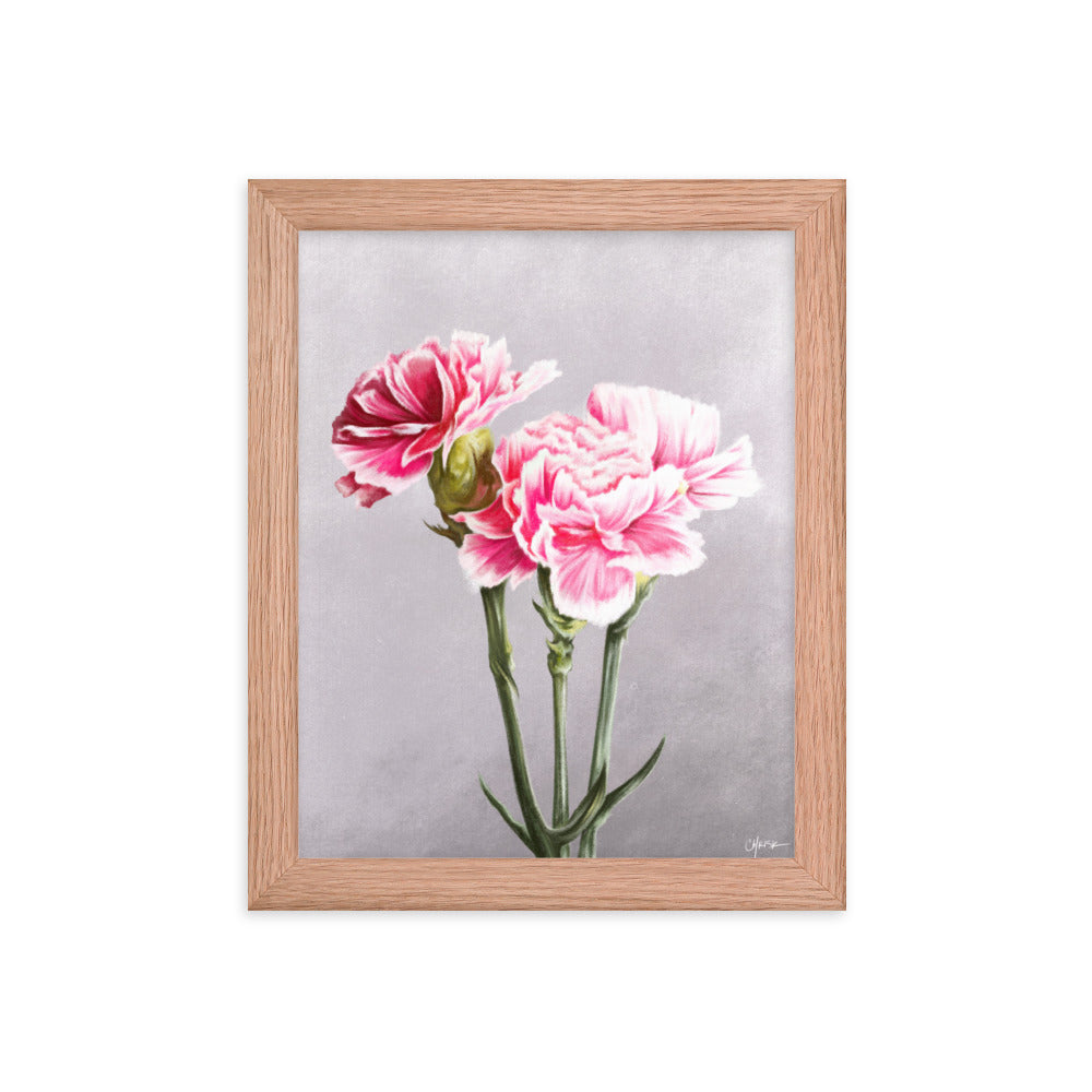 Carnation (January) - Birth Flower Framed Print