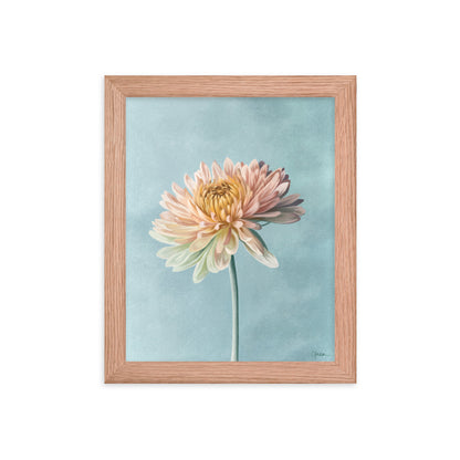 Chrysanthemum (November) - Birth Flower Framed Print