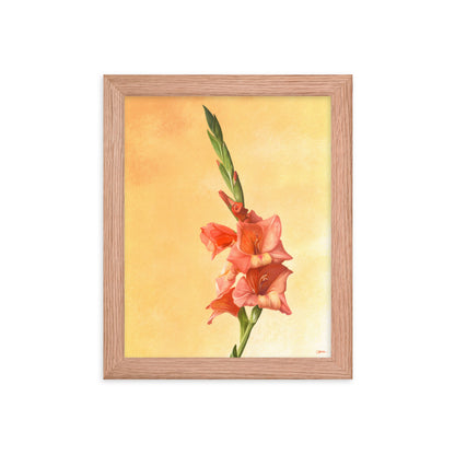 Gladiolus (August) - Birth Flower Framed Print