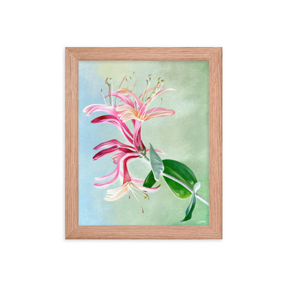 Honeysuckle (June) - Birth Flower Framed Print