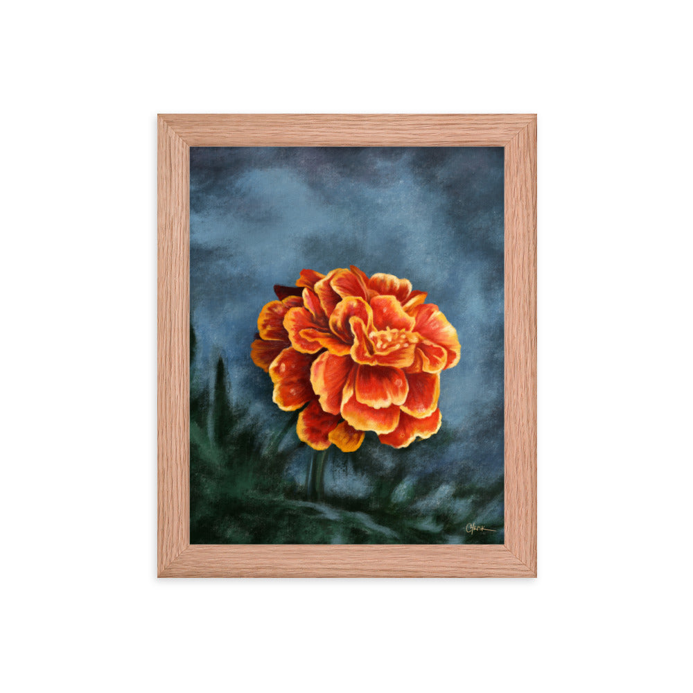 Marigold (October) - Birth Flower Framed Print