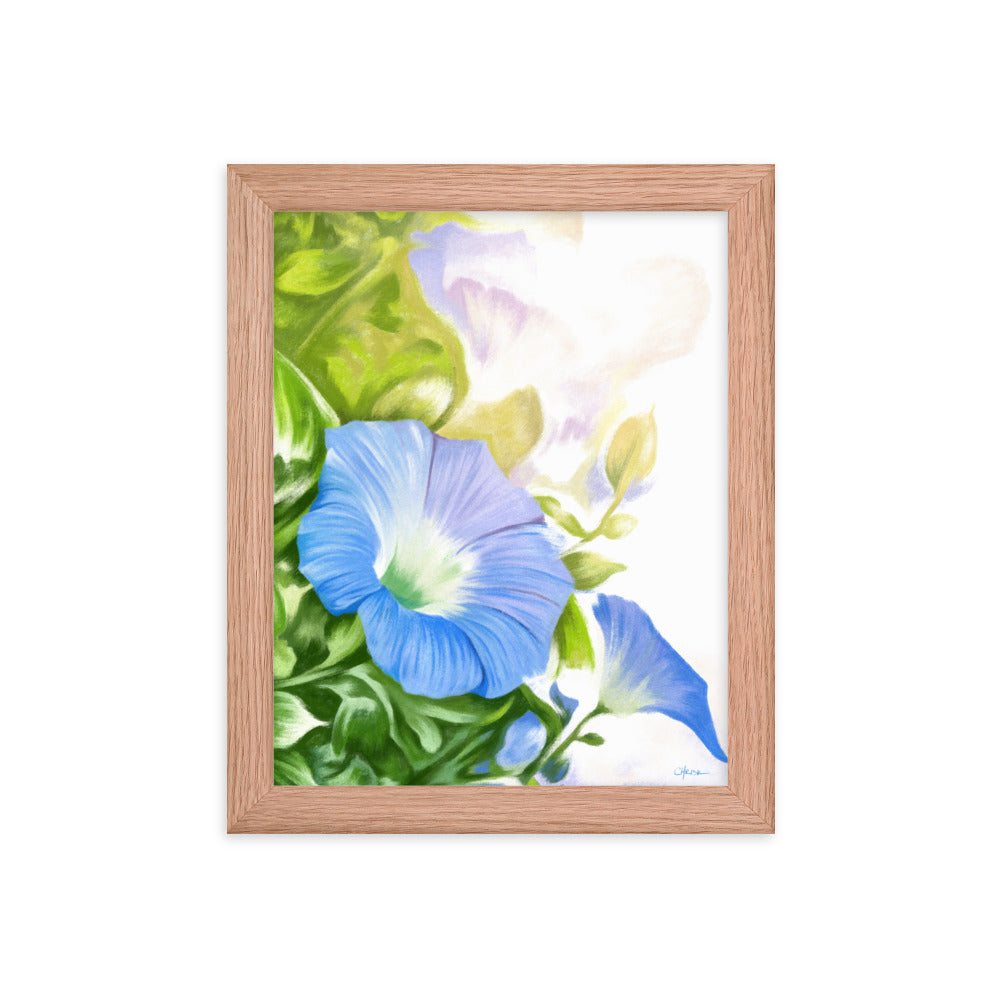 Morning Glory (September) - Birth Flower Framed Print