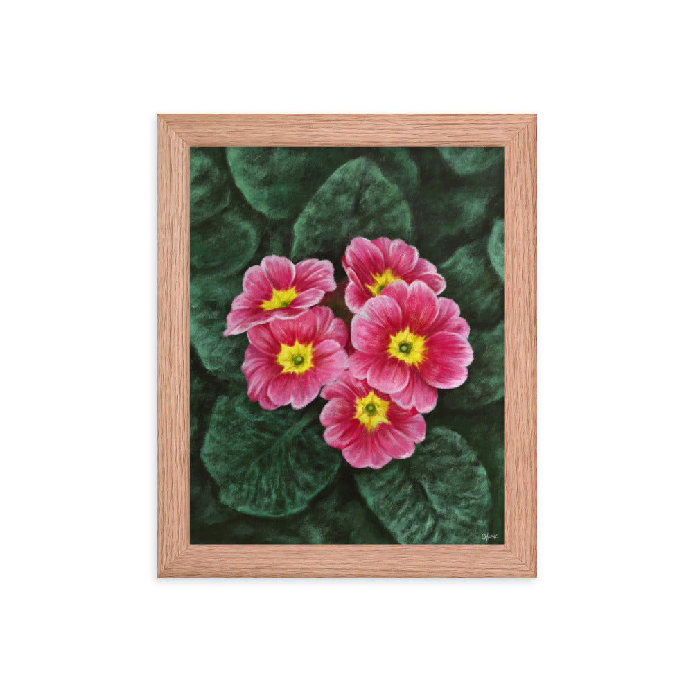 Primrose (February) - Birth Flower Framed Print