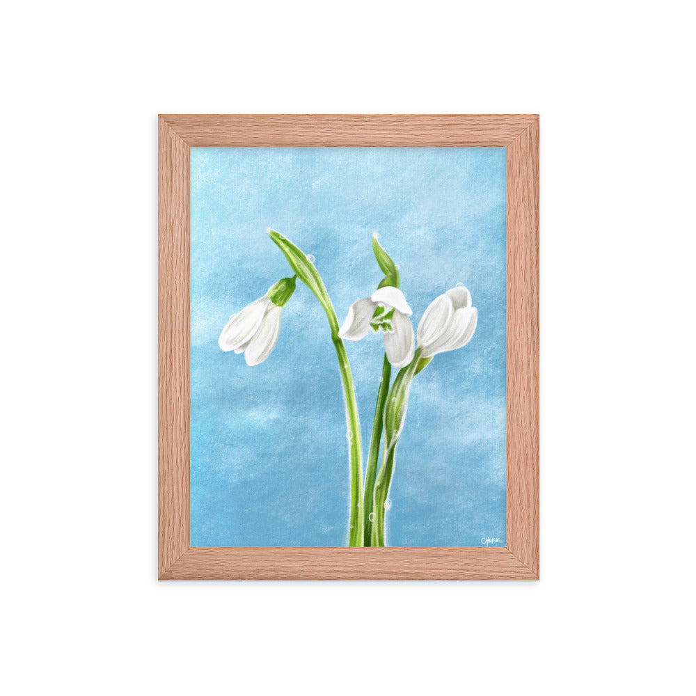 Snowdrop (January) - Birth Flower Framed Print