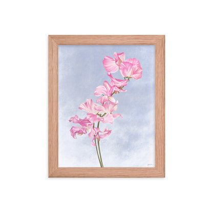 Sweet Pea (April) - Birth Flower Framed Print