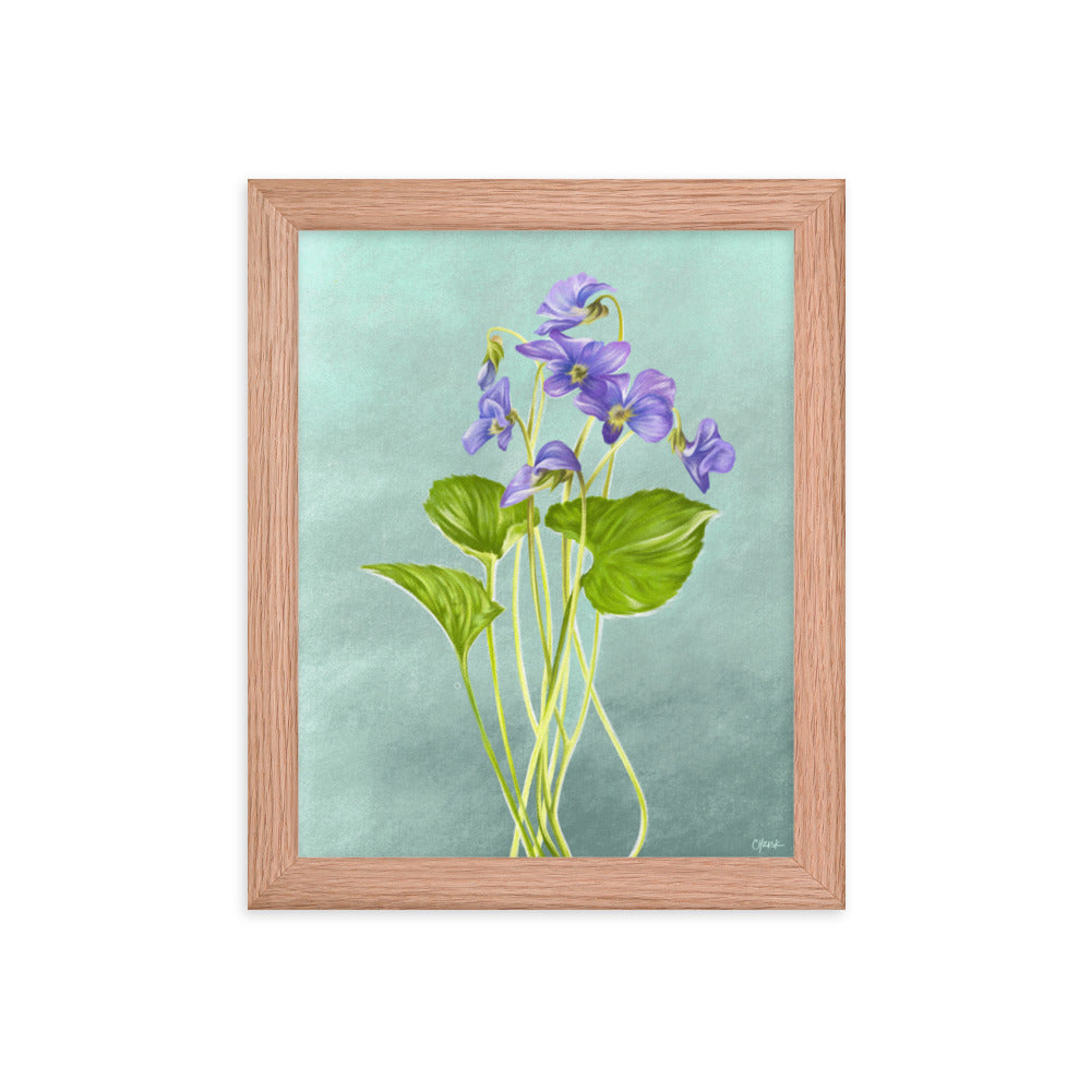 Violet (February) - Birth Flower Framed Print