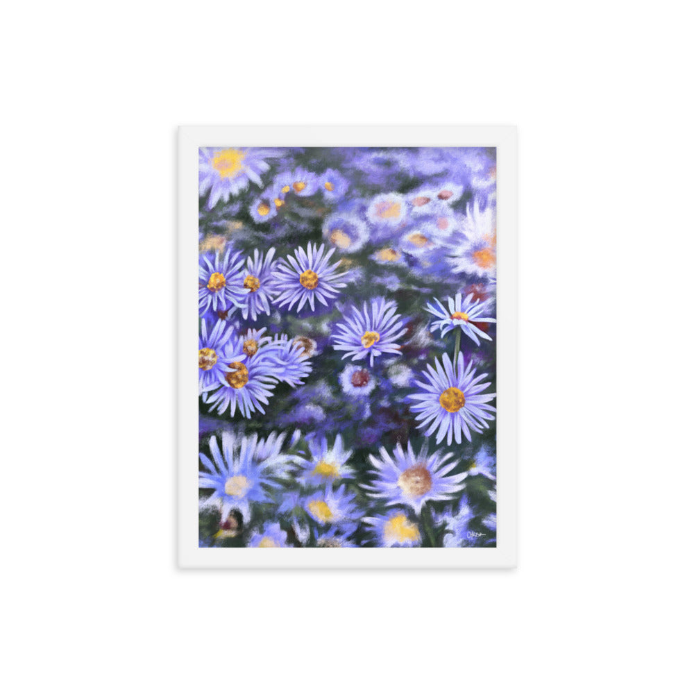 Aster (September) - Birth Flower Framed Print