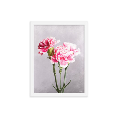 Carnation (January) - Birth Flower Framed Print