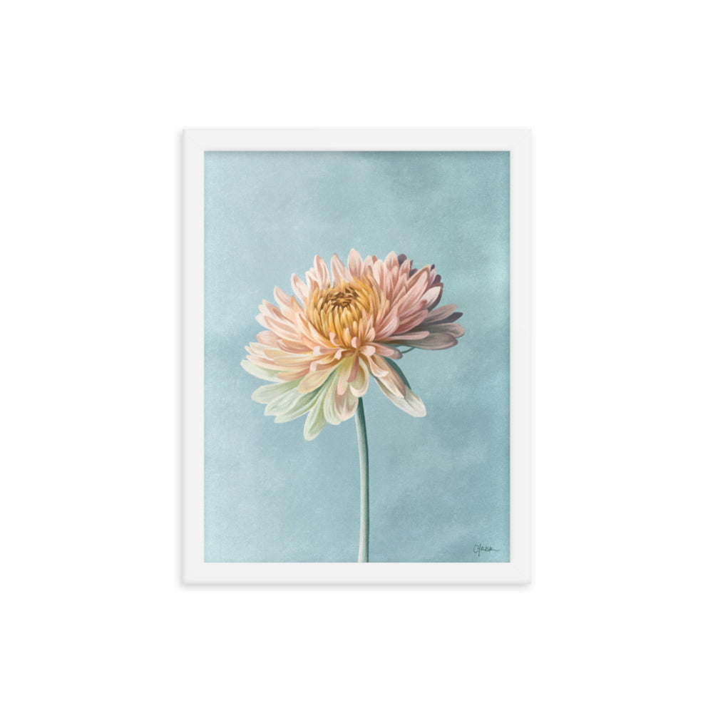 Chrysanthemum (November) - Birth Flower Framed Print