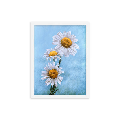 Daisy (April) - Birth Flower Framed Print