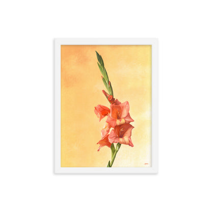 Gladiolus (August) - Birth Flower Framed Print