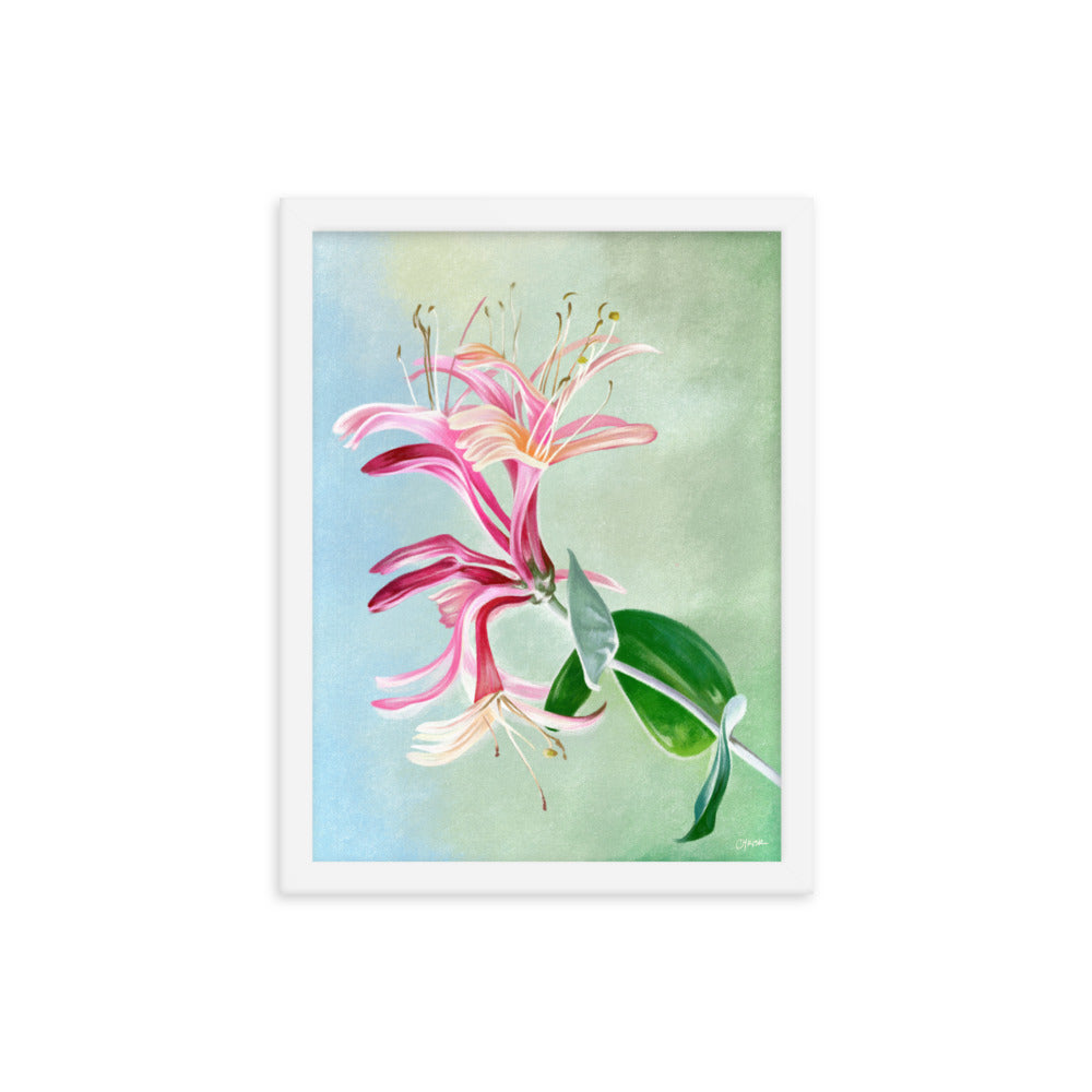 Honeysuckle (June) - Birth Flower Framed Print