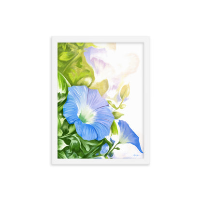 Morning Glory (September) - Birth Flower Framed Print