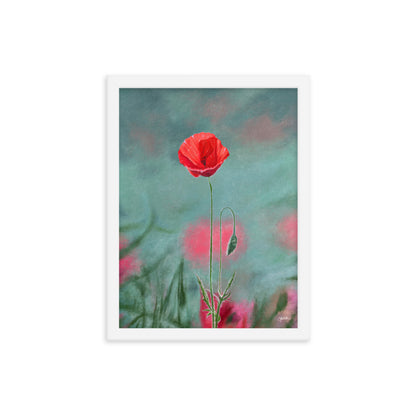 Poppy (August) - Birth Flower Framed Print