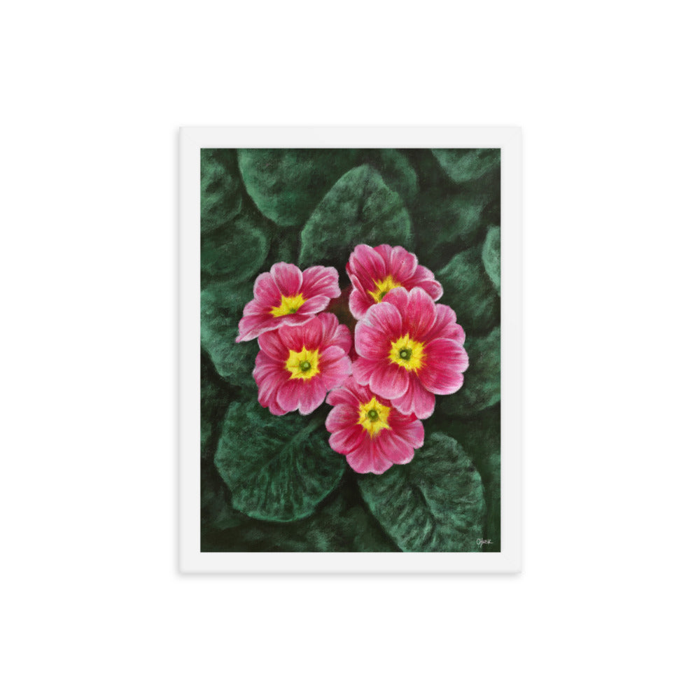 Primrose (February) - Birth Flower Framed Print