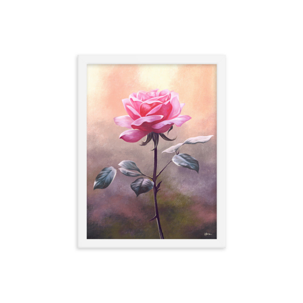 Rose (June) - Birth Flower Framed Print