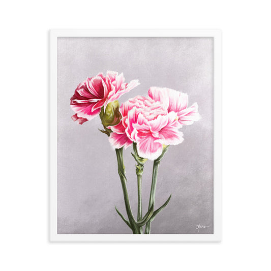 Carnation (January) - Birth Flower Framed Print