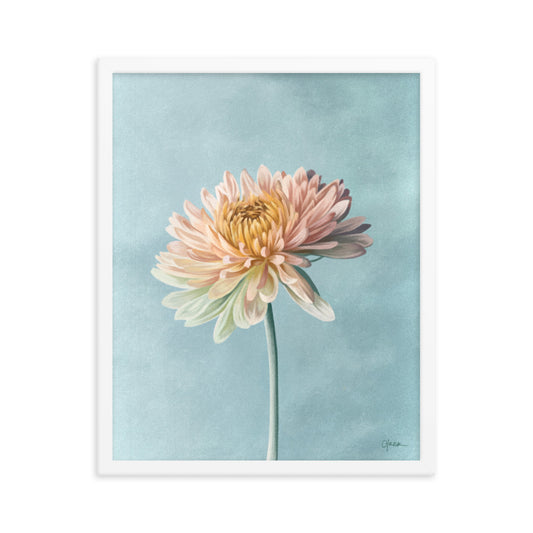 Chrysanthemum (November) - Birth Flower Framed Print