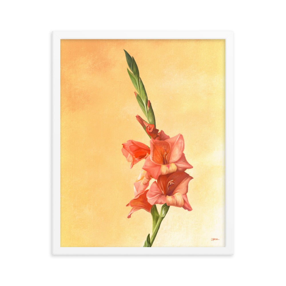 Gladiolus (August) - Birth Flower Framed Print