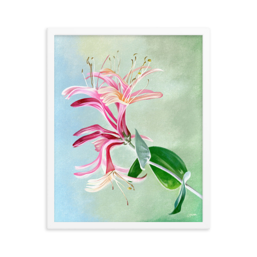 Honeysuckle (June) - Birth Flower Framed Print