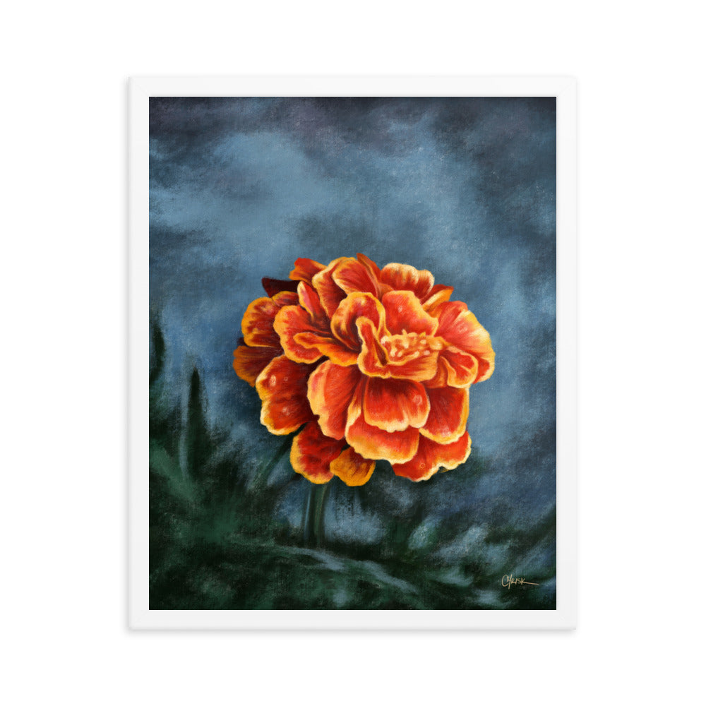 Marigold (October) - Birth Flower Framed Print