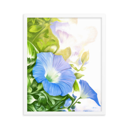 Morning Glory (September) - Birth Flower Framed Print