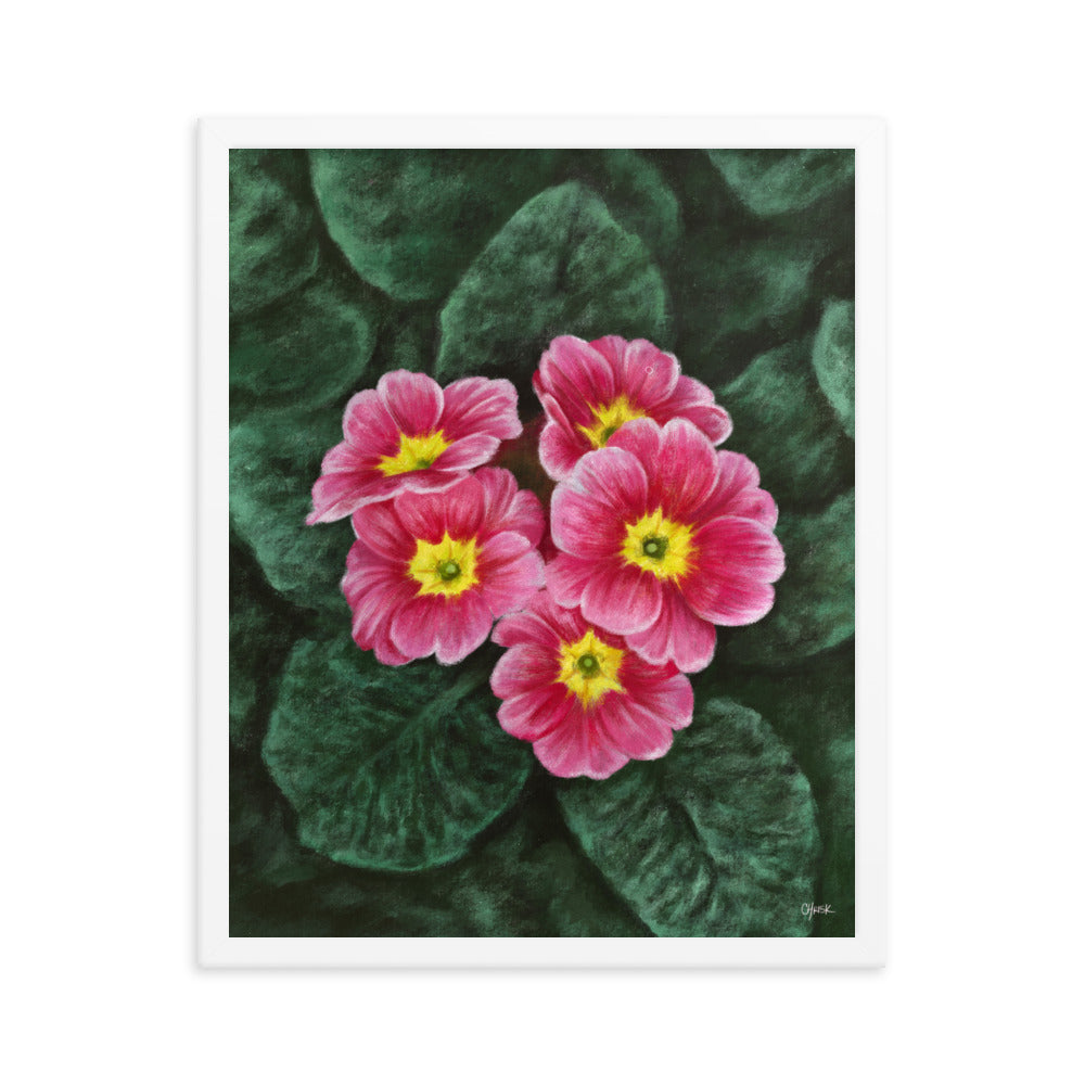 Primrose (February) - Birth Flower Framed Print