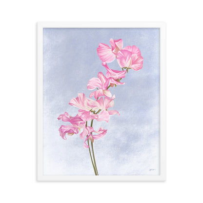 Sweet Pea (April) - Birth Flower Framed Print