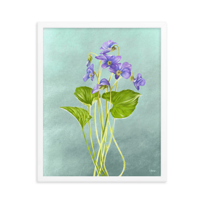 Violet (February) - Birth Flower Framed Print