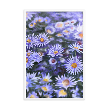 Aster (September) - Birth Flower Framed Print