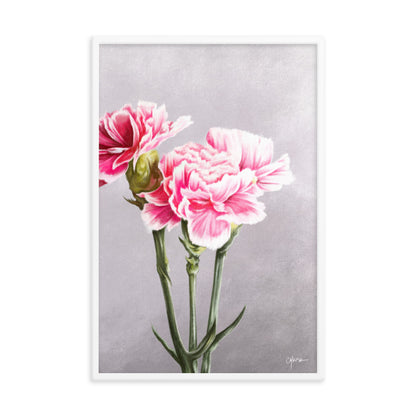 Carnation (January) - Birth Flower Framed Print