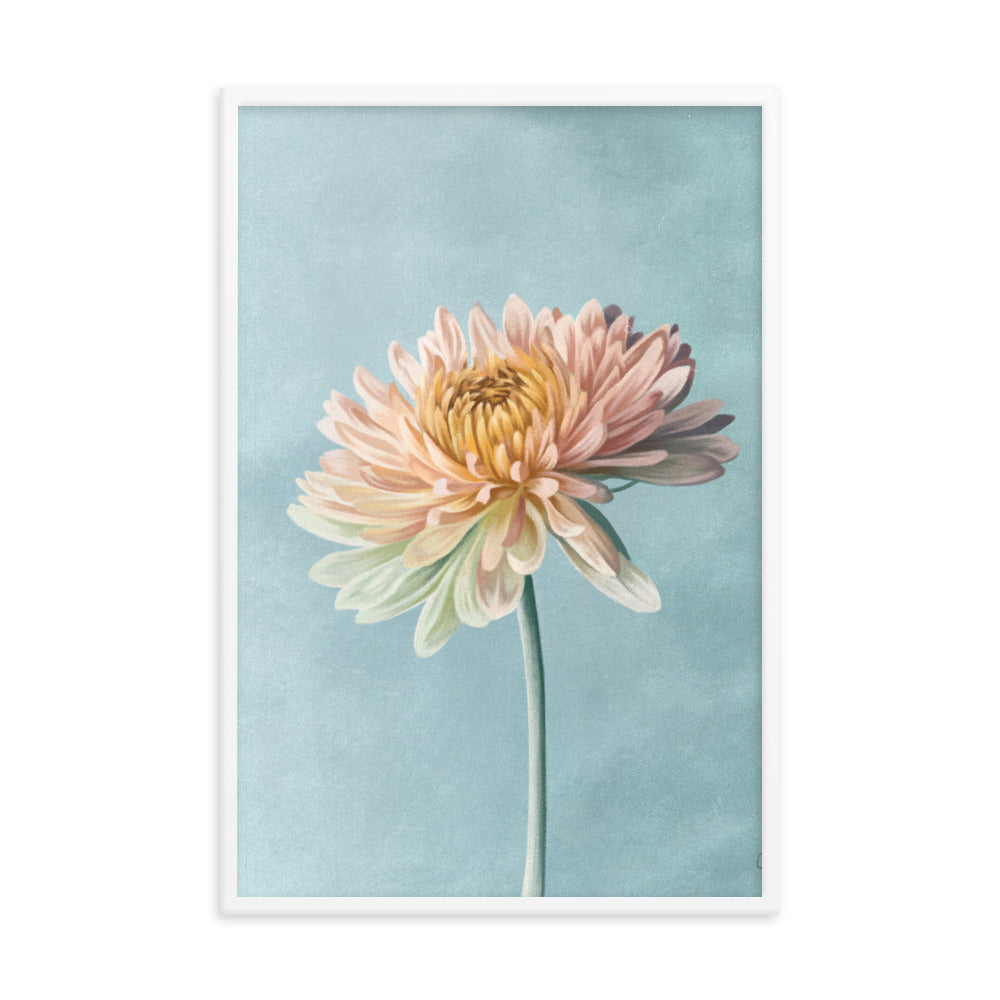 Chrysanthemum (November) - Birth Flower Framed Print