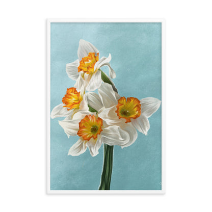 Daffodil (March) - Birth Flower Framed Print