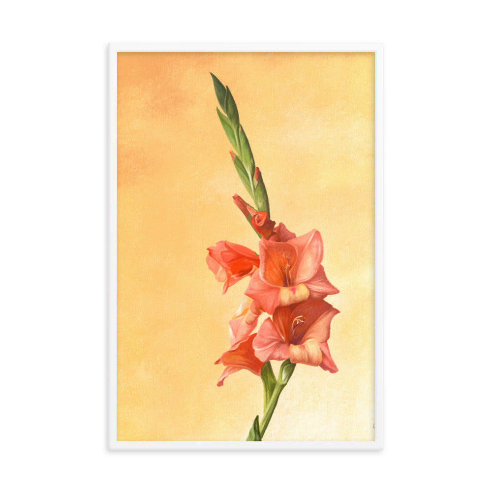 Gladiolus (August) - Birth Flower Framed Print