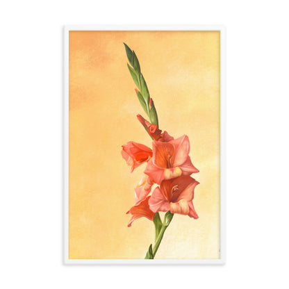 Gladiolus (August) - Birth Flower Framed Print