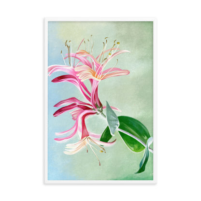 Honeysuckle (June) - Birth Flower Framed Print