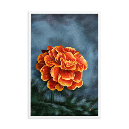 Marigold (October) - Birth Flower Framed Print