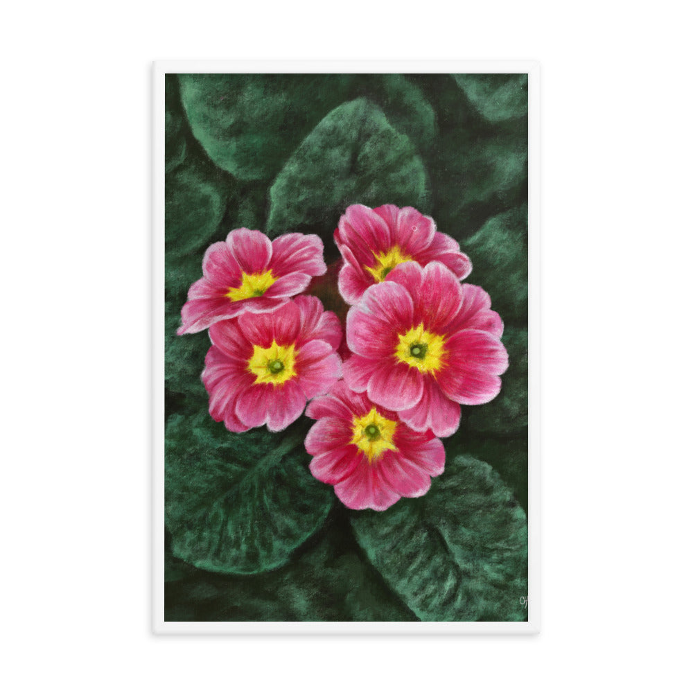 Primrose (February) - Birth Flower Framed Print