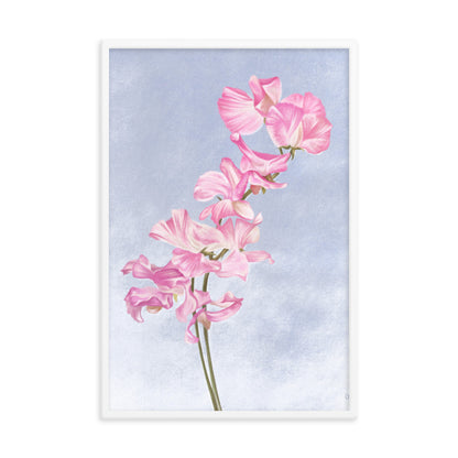 Sweet Pea (April) - Birth Flower Framed Print