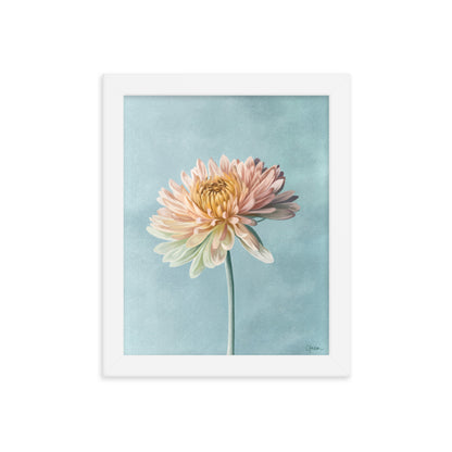 Chrysanthemum (November) - Birth Flower Framed Print