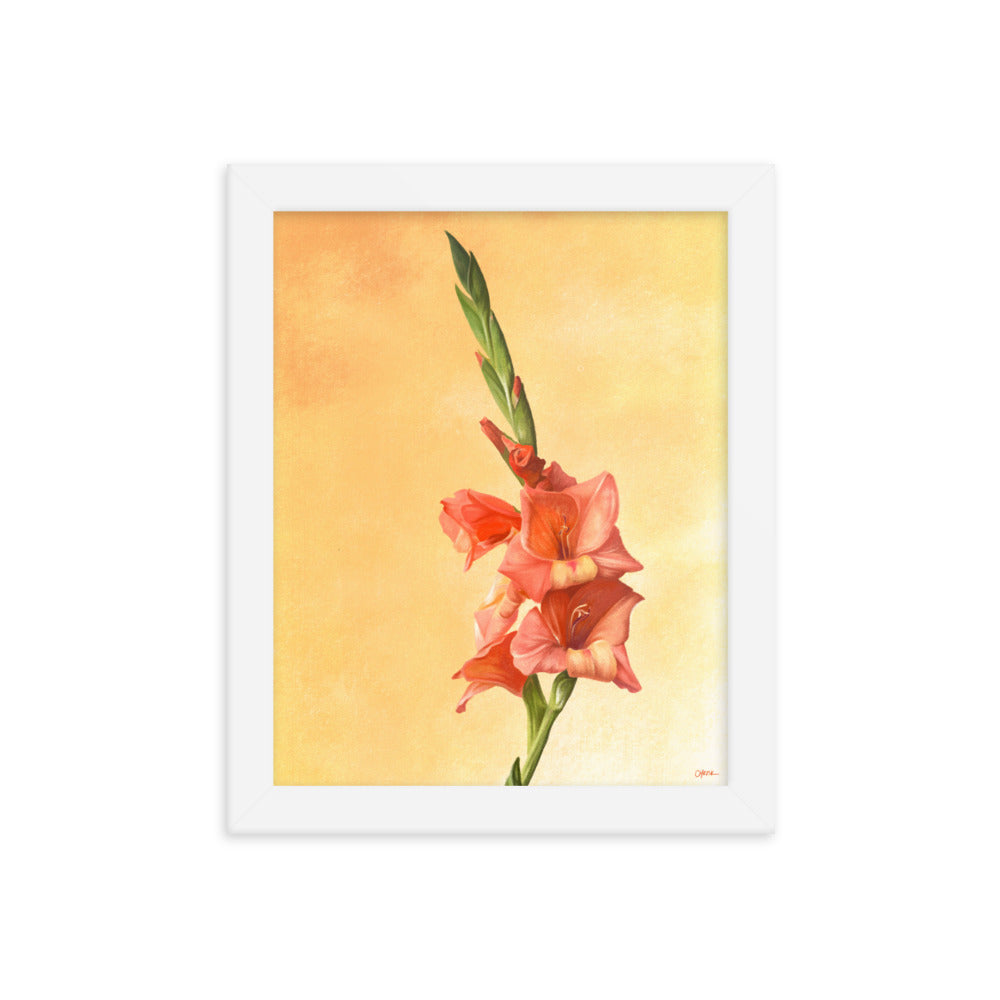 Gladiolus (August) - Birth Flower Framed Print