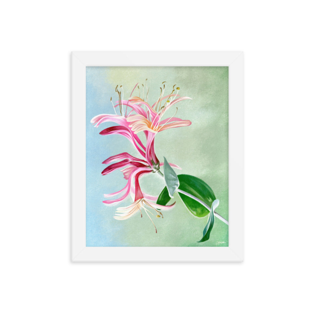 Honeysuckle (June) - Birth Flower Framed Print