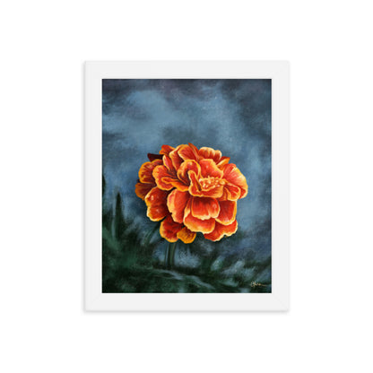 Marigold (October) - Birth Flower Framed Print