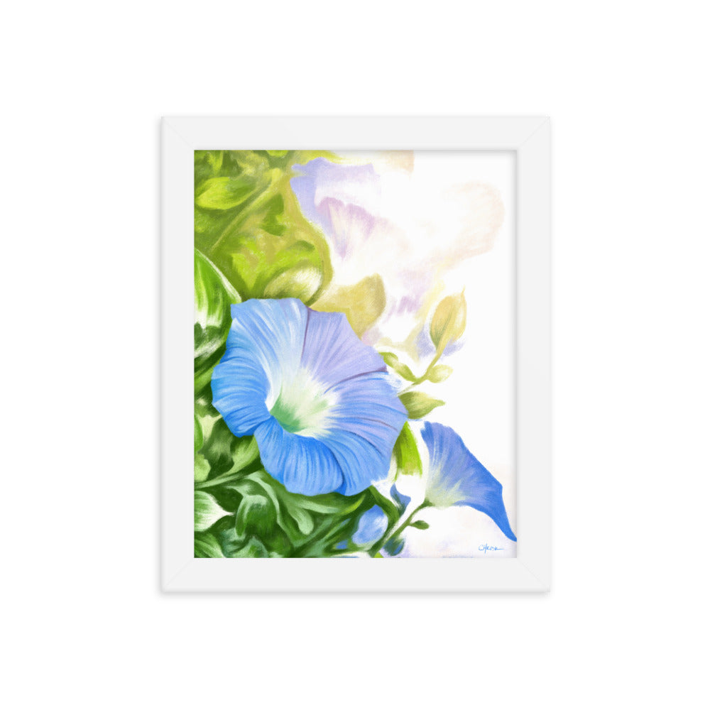 Morning Glory (September) - Birth Flower Framed Print