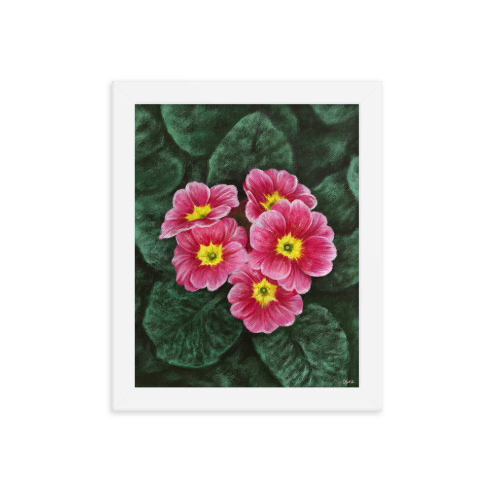 Primrose (February) - Birth Flower Framed Print