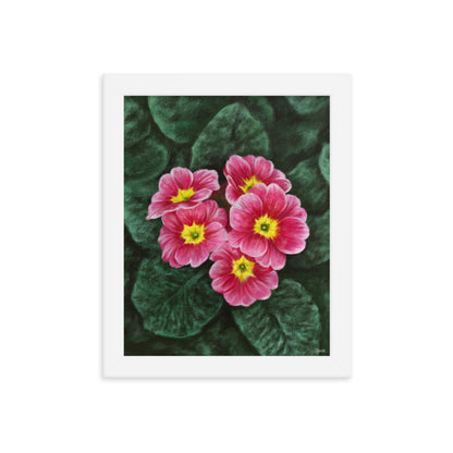 Primrose (February) - Birth Flower Framed Print