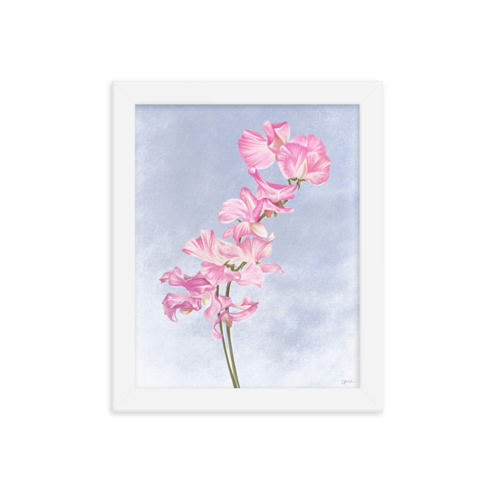 Sweet Pea (April) - Birth Flower Framed Print