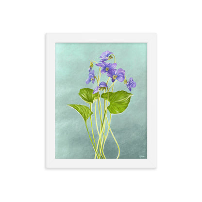 Violet (February) - Birth Flower Framed Print